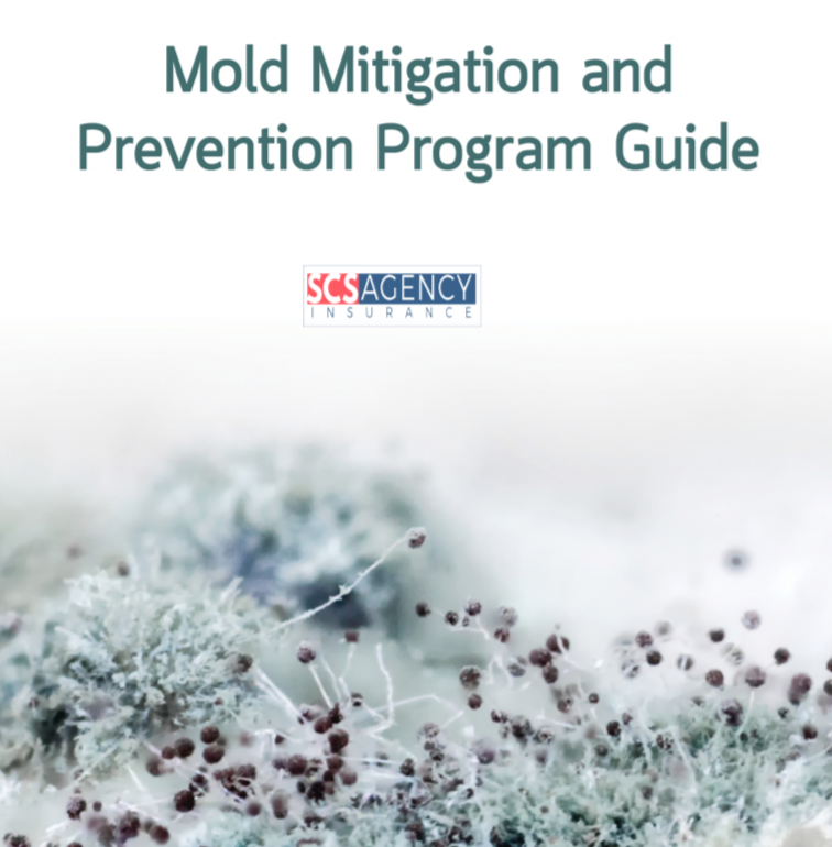 Mold Mitigation and Prevention Program Guide SCS Agency Insurance